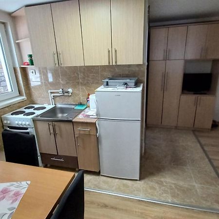 Kopaonik Apartman Aleksandar Exteriör bild
